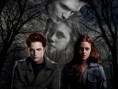 /album/twilight/twilight-15-jpg/
